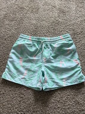 The Beaufort Bonnet Company Mint Green and Pink Boys' Swim Trunks